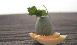 吃黄色蜜瓜,甜蜜滋味尽享一夏