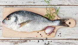 小丁鱼吃瓜,揭秘瓜类美食的诱惑与魅力