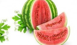 吃瓜王小曼,揭秘娱乐圈背后的那些事儿