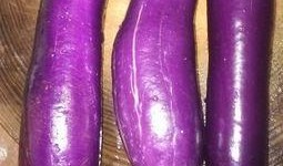 寒湿可以吃茄瓜吗,养生佳品推荐