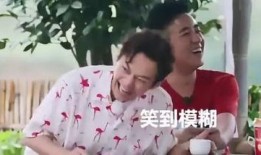 吃瓜好戏,揭秘娱乐圈幕后风云