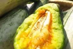 我只想静静吃瓜,揭秘娱乐圈幕后故事