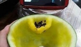 吃瓜便出籽,揭秘瓜果中的营养秘密