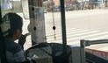 天津公交吃瓜,市民热议的街头现象