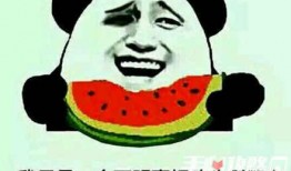 吃瓜人的梗,揭秘娱乐圈背后的那些事儿