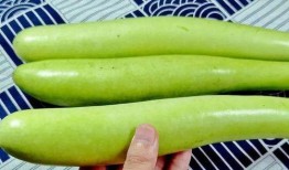 瓠子瓜咋削皮吃,揭秘削皮与直接食用的美味选择