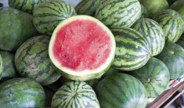 直接吃瓜,揭秘“吃瓜群众”背后的真相与趣味