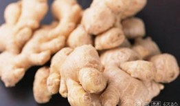 瓜兮兮吃生姜,养生美食新体验