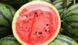 直接吃瓜,揭秘“吃瓜群众”背后的真相与趣味