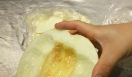 吃瓜不吃鳖,探寻网络流行语的奥秘与内涵