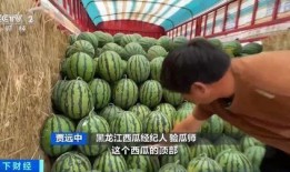 碎石吃瓜,揭秘夏日消暑新潮流