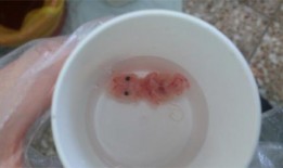 药流后可以吃梨瓜嘛,药流后适宜食用梨瓜吗？