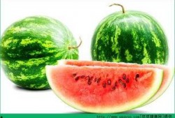 胃炎可以吃京瓜,京瓜助力健康饮食调理