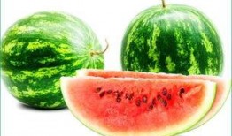 胃炎可以吃京瓜,京瓜助力健康饮食调理