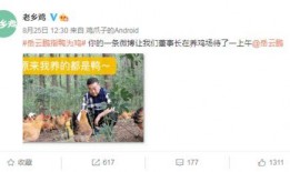 老乡鸡吃瓜,一场意外的美食之旅