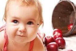 宝宝吃淡水瓜,淡水瓜营养美味之旅