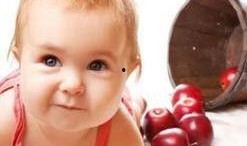 宝宝吃淡水瓜,淡水瓜营养美味之旅