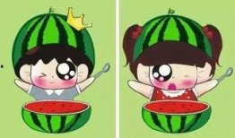 威威猫日常吃瓜有意思,趣味横生的欢乐时光