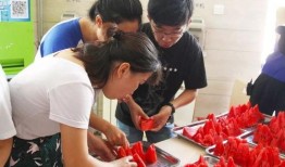 公司吃瓜群众视频,吃瓜群众视角下的趣味视频集锦