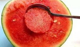 吃瓜新群,网络社交新趋势下的趣味与争议