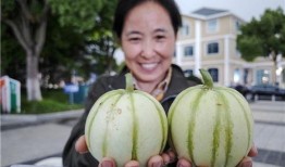 吃瓜爆料四大瓜,四大瓜事件背后的真相与启示