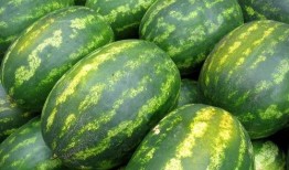 刘刚吃瓜,揭秘娱乐圈背后的秘密与真相