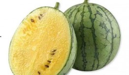 广东沙瓜怎么吃,解锁夏日清新美味