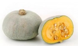 河间吃瓜风俗,探寻地方特色吃瓜风俗的魅力