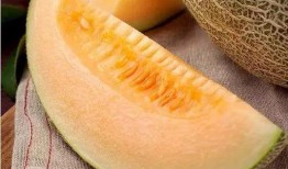 下雨天吃瓜技巧,享受清凉时光的甜蜜秘诀