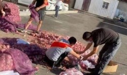 吃瓜西安爱情疫事,西安爱情疫事