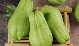 佛手瓜怎么吃炒,烹饪技巧大揭秘