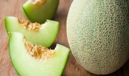 吃哈密瓜可以吃炸鸡吗,健康搭配的美食探索