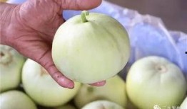 三水老师吃瓜,揭秘校园八卦背后的真相