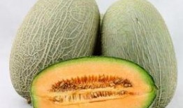 吃哈密瓜可以吃炸鸡吗,健康搭配的美食探索