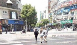 十一过马路吃瓜