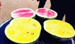 吃瓜爆料四大瓜,四大瓜事件背后的真相与启示