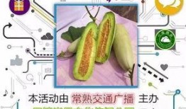 羊角瓜花怎么吃