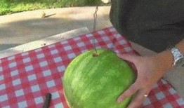 吃瓜小分队大瓜合集,揭秘娱乐圈幕后风云