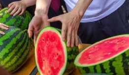 合肥学院吃瓜,吃瓜群众揭秘校园热点事件