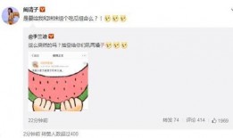 吃瓜李姐小说,揭秘娱乐圈背后的秘密风云