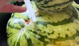 吃瓜必看搞笑视频,笑料横生！吃瓜必看搞笑视频盘点