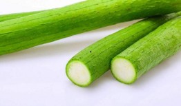 夏天吃哪5瓜,盘点5款清凉瓜果，畅享夏日清凉时光