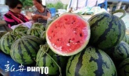 icu吃瓜故事,生死边缘的温馨瞬间