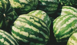 期末前吃瓜,揭秘期末前吃瓜盛况