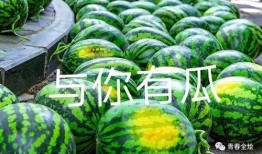 广州学校吃瓜事件,校园食品安全风波引发关注