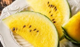 期末前吃瓜,揭秘期末前吃瓜盛况