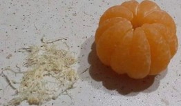 桔子瓜可以吃吗