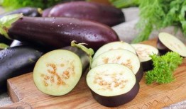 寒湿可以吃茄瓜吗,养生佳品推荐