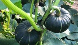 棠棠陪你吃瓜,揭秘娱乐圈那些事儿