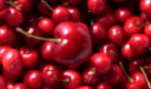 沂源县吃瓜,探寻沂源特色美食之旅